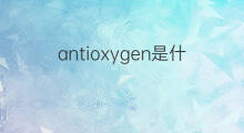 antioxygen是什么意思 antioxygen的中文翻译、读音、例句