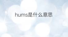hums是什么意思 hums的中文翻译、读音、例句