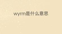 wyrm是什么意思 wyrm的中文翻译、读音、例句