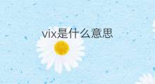 vix是什么意思 vix的中文翻译、读音、例句