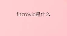 fitzrovia是什么意思 fitzrovia的中文翻译、读音、例句