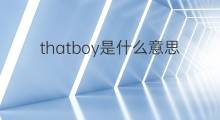 thatboy是什么意思 thatboy的中文翻译、读音、例句