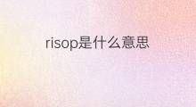 risop是什么意思 risop的中文翻译、读音、例句