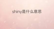 shiny是什么意思 shiny的中文翻译、读音、例句