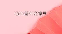 roza是什么意思 roza的中文翻译、读音、例句