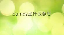 dumas是什么意思 dumas的中文翻译、读音、例句