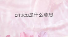 critica是什么意思 critica的中文翻译、读音、例句