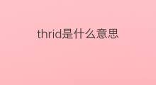 thrid是什么意思 thrid的中文翻译、读音、例句