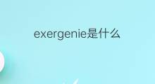 exergenie是什么意思 exergenie的中文翻译、读音、例句