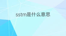 sstm是什么意思 sstm的中文翻译、读音、例句