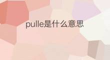 pulle是什么意思 pulle的中文翻译、读音、例句