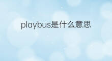 playbus是什么意思 playbus的中文翻译、读音、例句