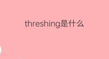 threshing是什么意思 threshing的中文翻译、读音、例句