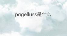 pagelluss是什么意思 pagelluss的中文翻译、读音、例句