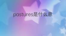 pastures是什么意思 pastures的中文翻译、读音、例句