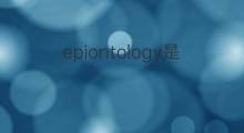 epiontology是什么意思 epiontology的中文翻译、读音、例句
