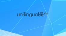 unilingual是什么意思 unilingual的中文翻译、读音、例句