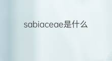 sabiaceae是什么意思 sabiaceae的中文翻译、读音、例句