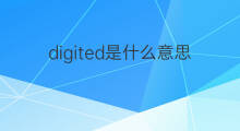 digited是什么意思 digited的中文翻译、读音、例句