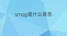 smqg是什么意思 smqg的中文翻译、读音、例句