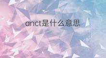 anct是什么意思 anct的中文翻译、读音、例句