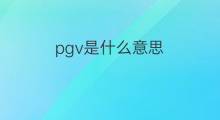 pgv是什么意思 pgv的中文翻译、读音、例句