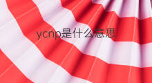 ycnp是什么意思 ycnp的中文翻译、读音、例句