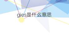 gies是什么意思 gies的中文翻译、读音、例句