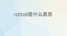 rattail是什么意思 rattail的中文翻译、读音、例句