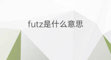 futz是什么意思 futz的中文翻译、读音、例句