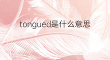 tongued是什么意思 tongued的中文翻译、读音、例句