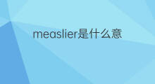 measlier是什么意思 measlier的中文翻译、读音、例句