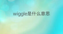 wiggle是什么意思 wiggle的中文翻译、读音、例句
