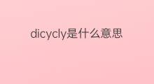 dicycly是什么意思 dicycly的中文翻译、读音、例句