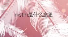 mstm是什么意思 mstm的中文翻译、读音、例句
