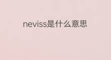 neviss是什么意思 neviss的中文翻译、读音、例句