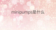 minipumps是什么意思 minipumps的中文翻译、读音、例句