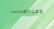 concia是什么意思 concia的中文翻译、读音、例句