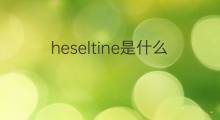 heseltine是什么意思 heseltine的中文翻译、读音、例句