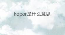 kapor是什么意思 kapor的中文翻译、读音、例句
