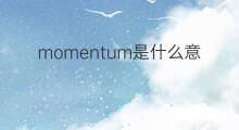momentum是什么意思 momentum的中文翻译、读音、例句