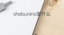 shebunino是什么意思 shebunino的中文翻译、读音、例句