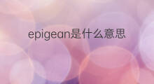 epigean是什么意思 epigean的中文翻译、读音、例句