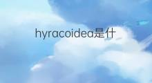 hyracoidea是什么意思 hyracoidea的中文翻译、读音、例句