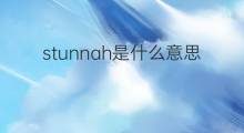 stunnah是什么意思 stunnah的中文翻译、读音、例句