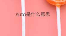 suta是什么意思 suta的中文翻译、读音、例句