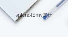 splenotomy是什么意思 splenotomy的中文翻译、读音、例句