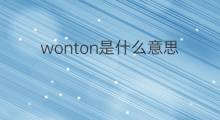 wonton是什么意思 wonton的中文翻译、读音、例句