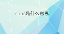 naas是什么意思 naas的中文翻译、读音、例句