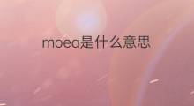 moea是什么意思 moea的中文翻译、读音、例句